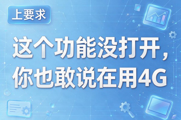 这个功能没打开，你也敢说在用4G？