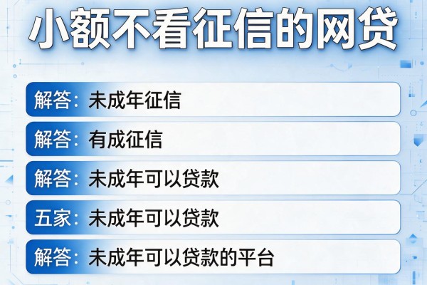 小额不看征信的网贷，解答五家未成年可以贷款的平台