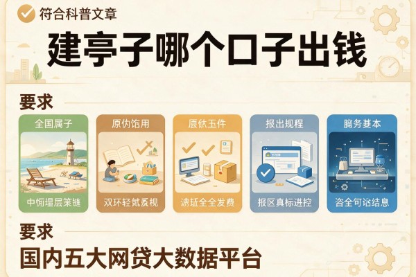 建亭子哪个口子出钱，国内五大网贷大数据平台