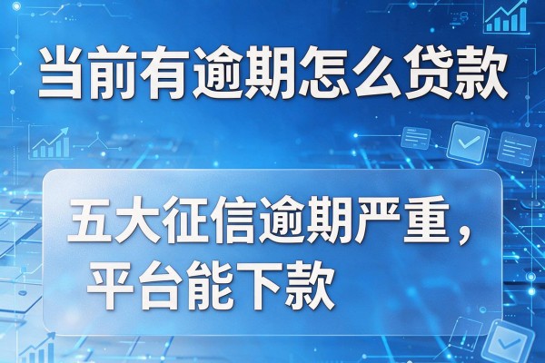 当前有逾期怎么贷款，五大征信逾期严重,,,平台能下款