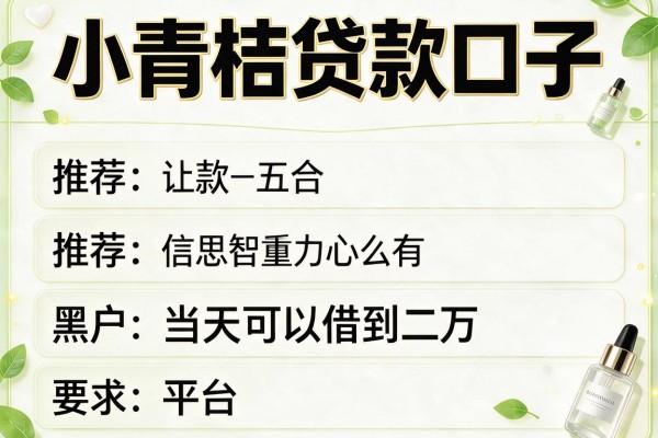小青桔贷款口子，推荐五个黑户当天可以借到二万的平台