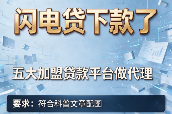 闪电贷下款了，五大加盟贷款平台做代理