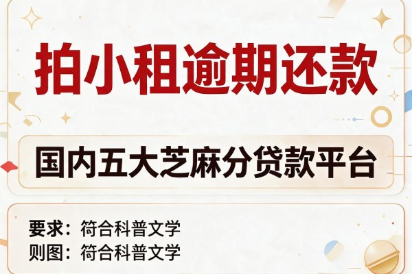 拍小租逾期还款，国内五大芝麻分贷款平台