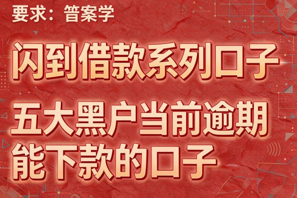 闪到借款系列口子，五大黑户当前逾期能下款的口子