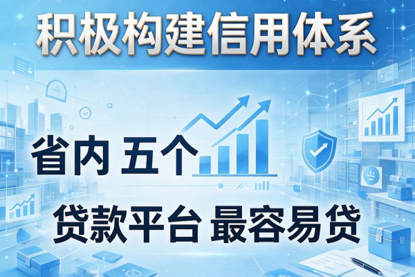 积极构建信用体系，省内五个贷款平台最容易贷