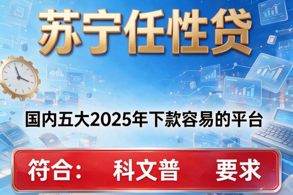 苏宁任性贷，国内五大2025年下款容易的平台