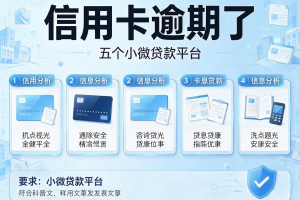信用卡逾期了，分析五个小微贷款平台