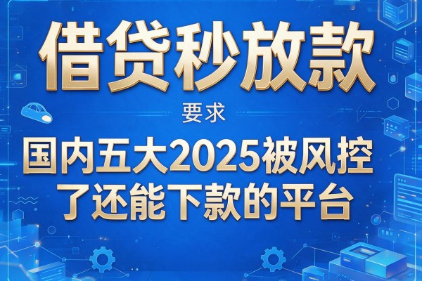 借贷秒放款，国内五大2025被风控了还能下款的平台