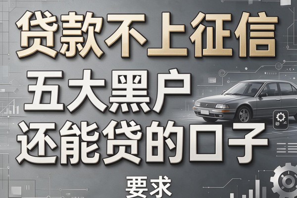 贷款车不上征信，五大黑户还能贷的口子