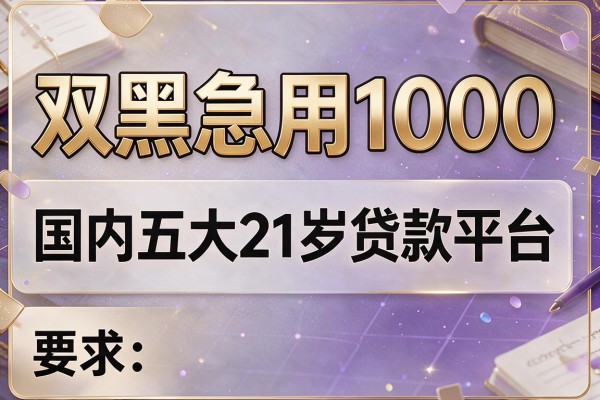 双黑急用1000，国内五大21岁贷款平台