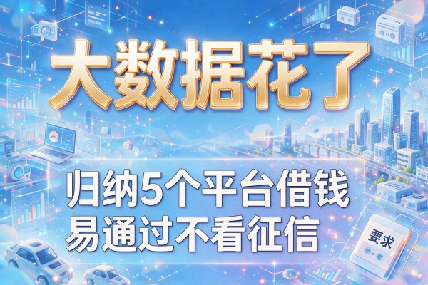 大数据花了，归纳5个平台借钱易通过不看征信