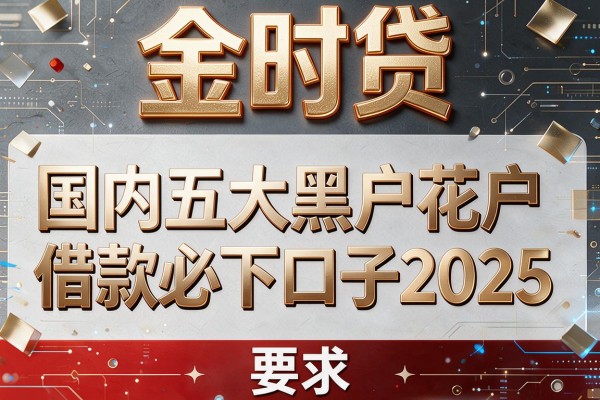 金时贷，国内五大黑户花户借款必下口子2025