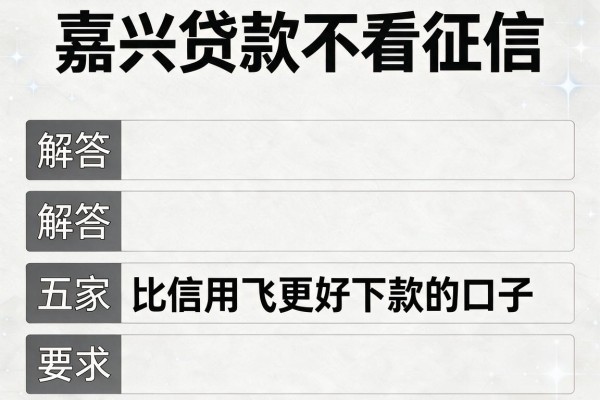 嘉兴贷款不看征信，解答五家比信用飞更好下款的口子