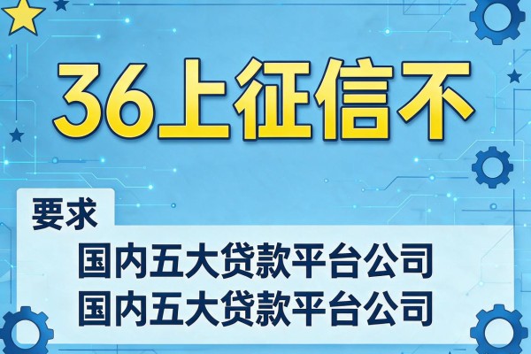 36上征信不，国内五大贷款平台公司