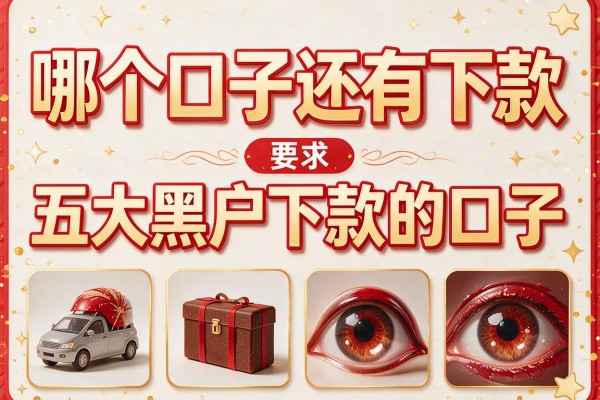 哪个口子还有下款，五大黑户下款的口子