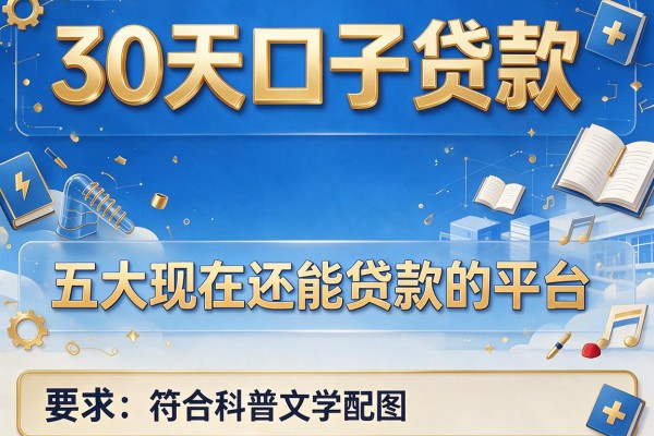30天口子贷款，五大现在还能贷款的平台