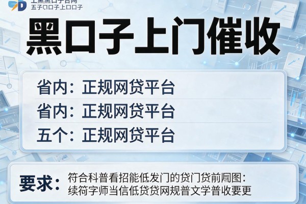 黑口子上门催收，省内五个正规网贷平台