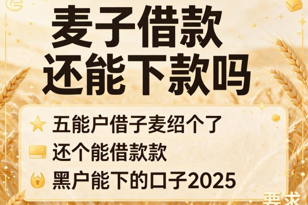 麦子借款还能下款吗，介绍五个黑户能下的口子2025