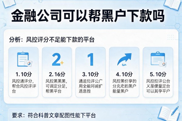金融公司可以帮黑户下款吗，分析五个风控评分不足能下款的平台