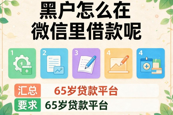 黑户怎么在微信里借款呢，汇总五个65岁贷款平台