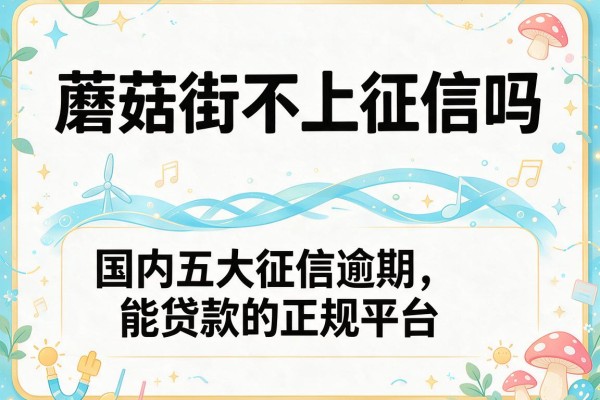 蘑菇街不上征信吗，国内五大征信逾期能贷款的正规平台