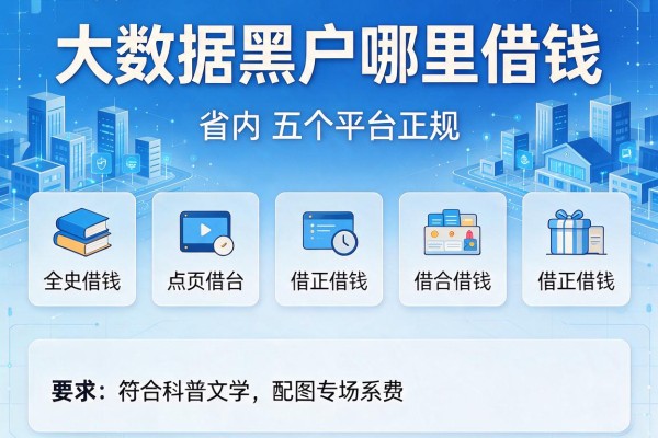 大数据黑户哪里借钱，省内五个平台借钱正规