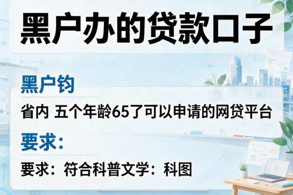 黑户办的贷款口子，省内五个年龄65了可以申请的网贷平台
