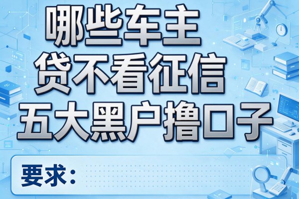 哪些车主贷不看征信，五大黑户撸口子