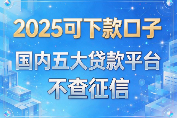 2025可下款口子，国内五大贷款平台不查征信