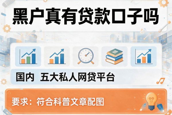 黑户真有贷款口子吗，国内五大私人网贷平台