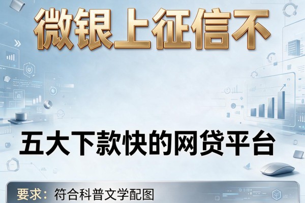 微银上征信不，五大下款快的网贷平台