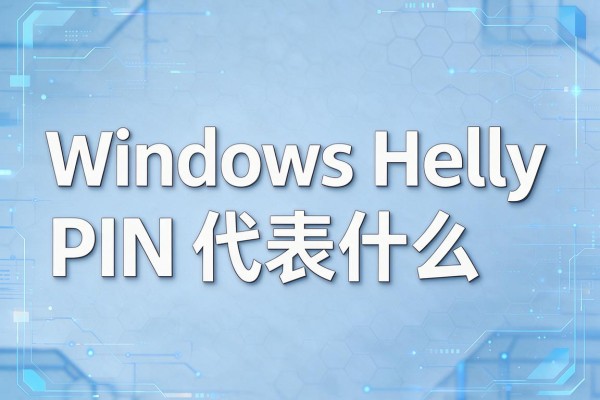 Windows Hello PIN代表什么