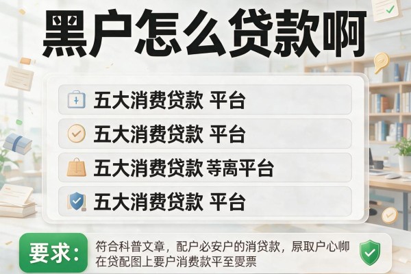 黑户怎么贷款啊，五大消费贷款平台