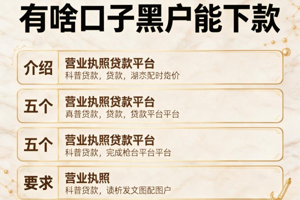 有啥口子黑户能下款，介绍五个营业执照贷款平台